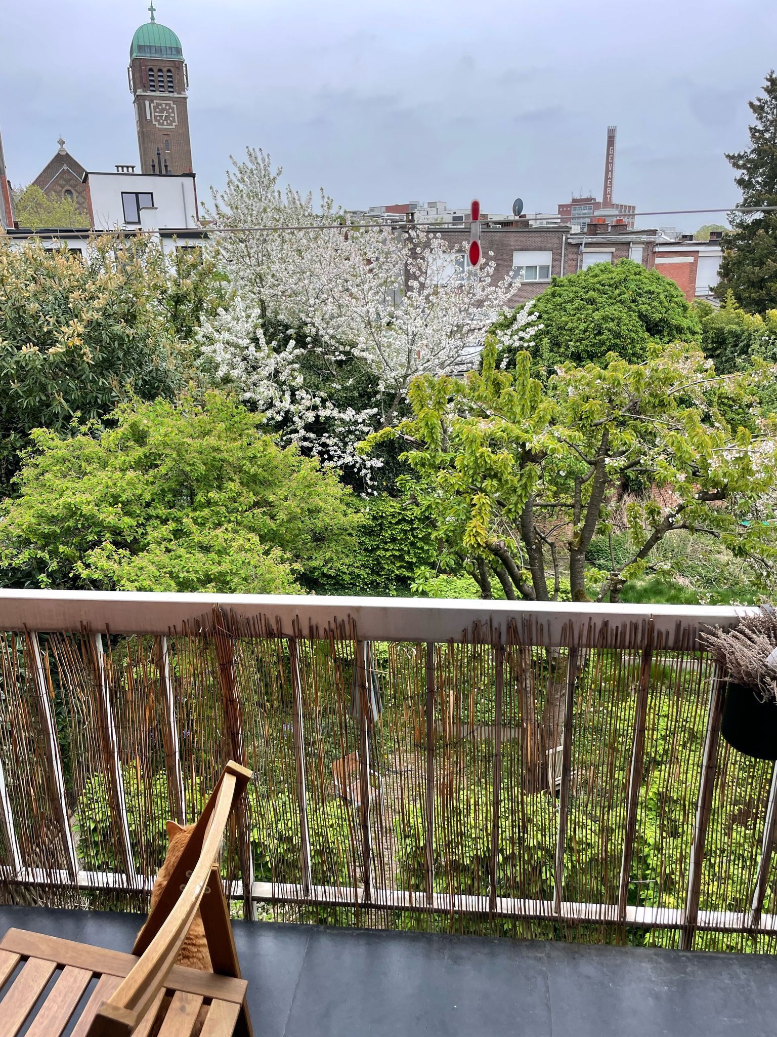 Lichtrijk en ruim appartement in Mortsel