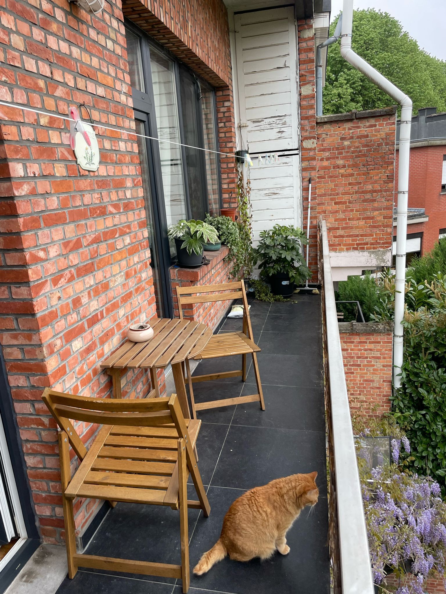 Lichtrijk en ruim appartement in Mortsel