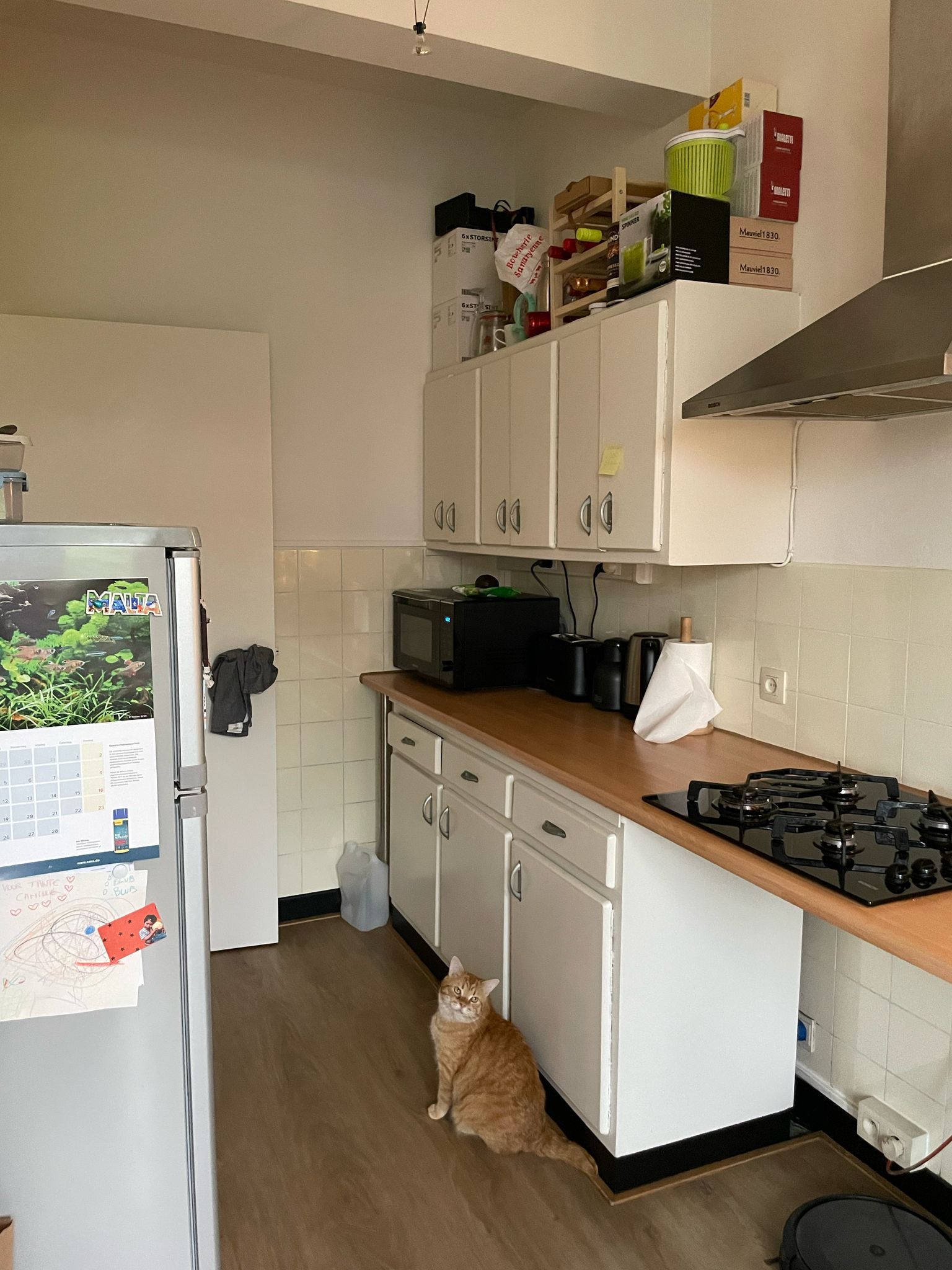 Lichtrijk en ruim appartement in Mortsel