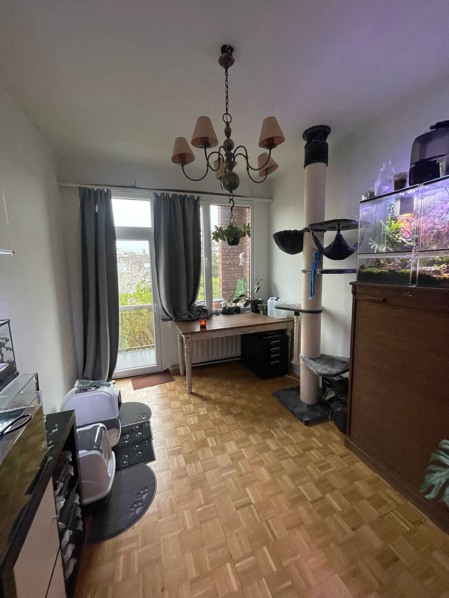 Lichtrijk en ruim appartement in Mortsel